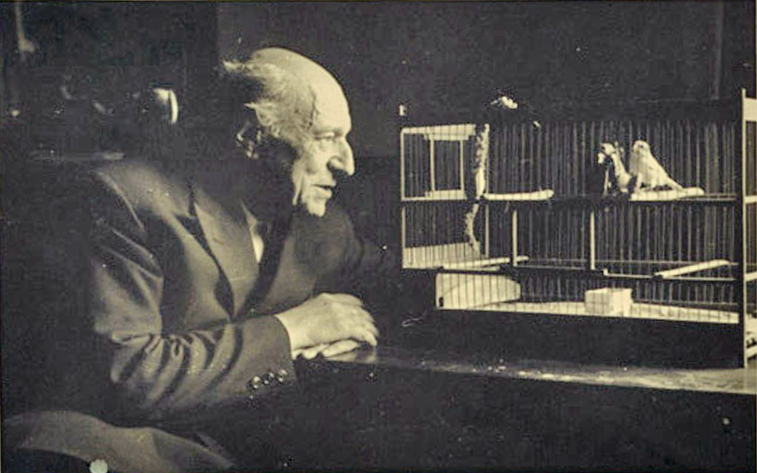 Umberto Saba opere principali Umberto Saba opere principali